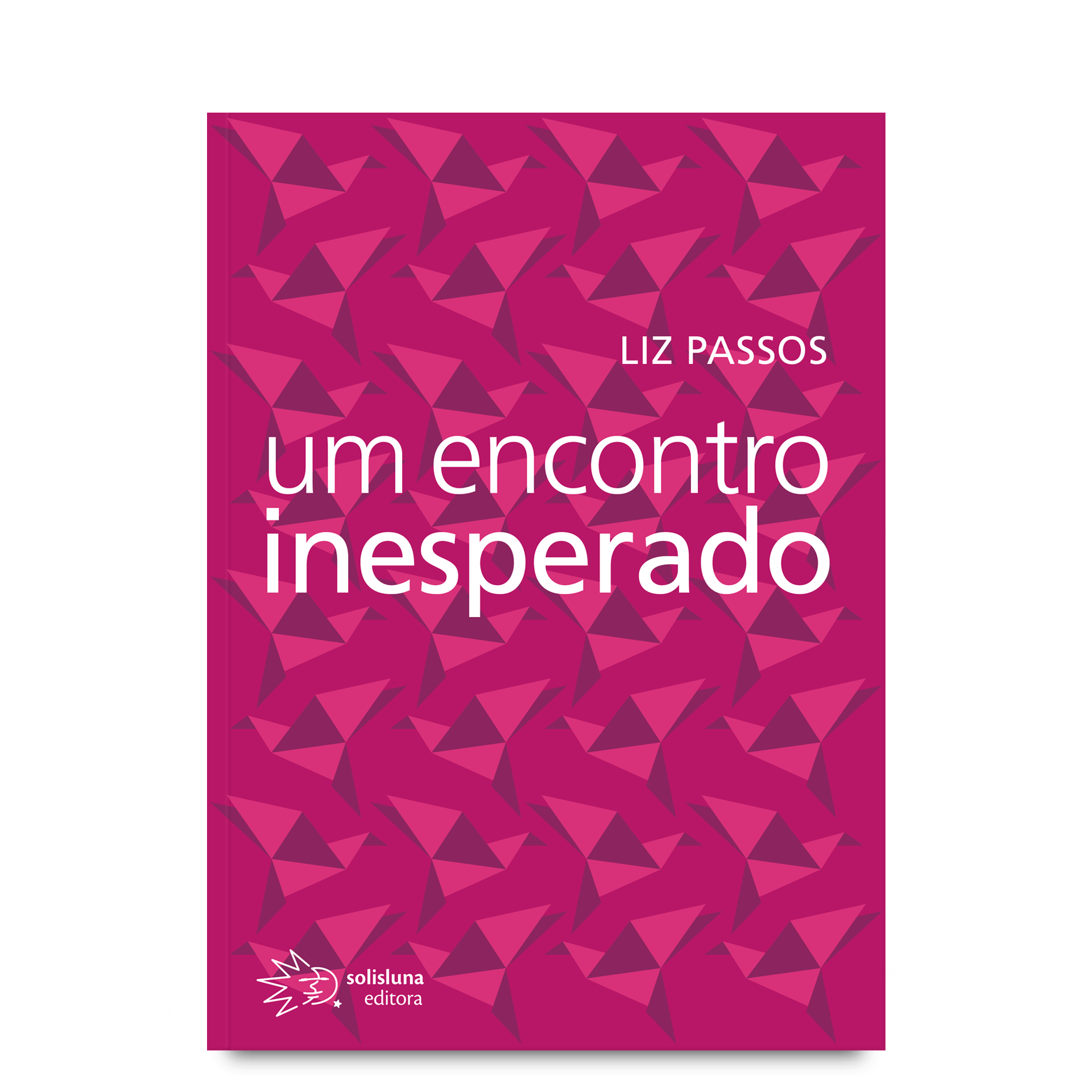 Um encontro inesperado